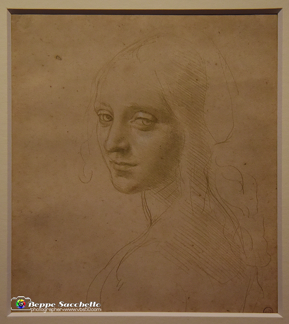 VBS_9770 - Mostra A tu per tu con Leonardo.jpg